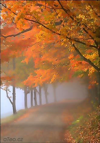 Podzimní mlha