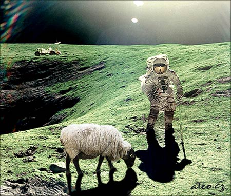 The Moon Shepherd