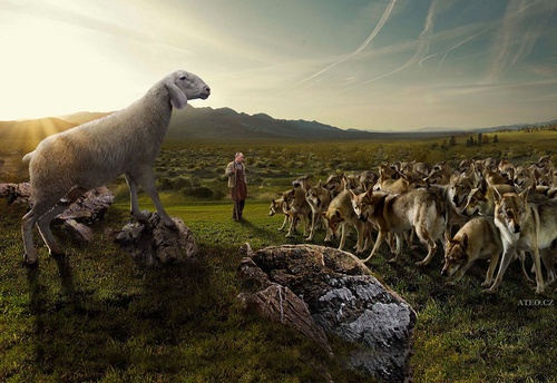 Pastýř